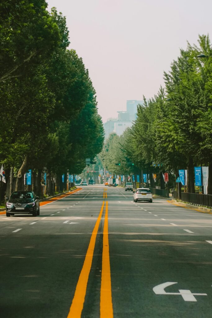 A sunny city street with vehicles, lined with lush green trees, creating a vibrant urban scene.